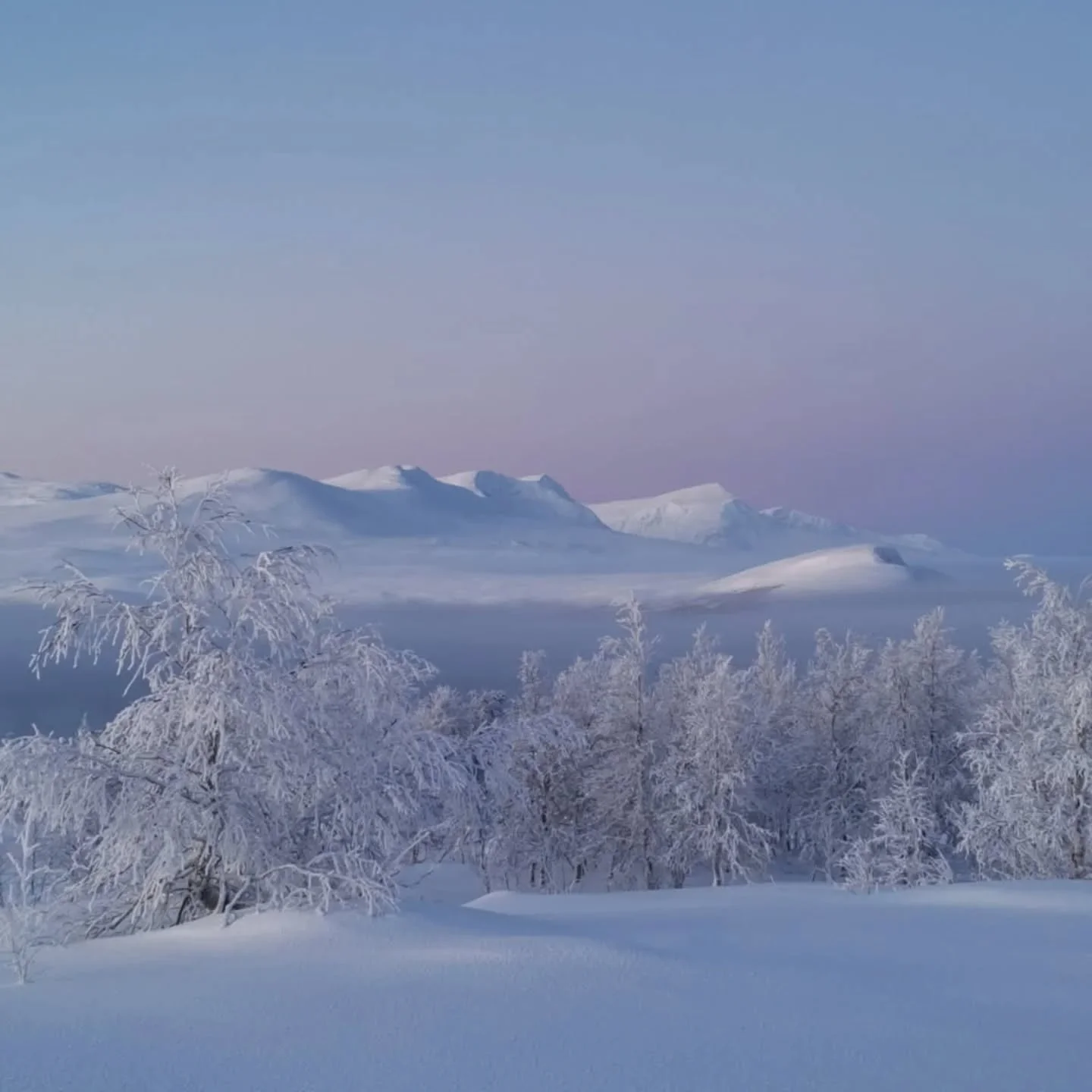 Tack till januari. En m&aring;nad av n&auml;rmast obeskrivbara naturupplevelser i  magiskt vinterlandskap.
.
.
.
#trolltrummantarnaby #nature #vinter #magi