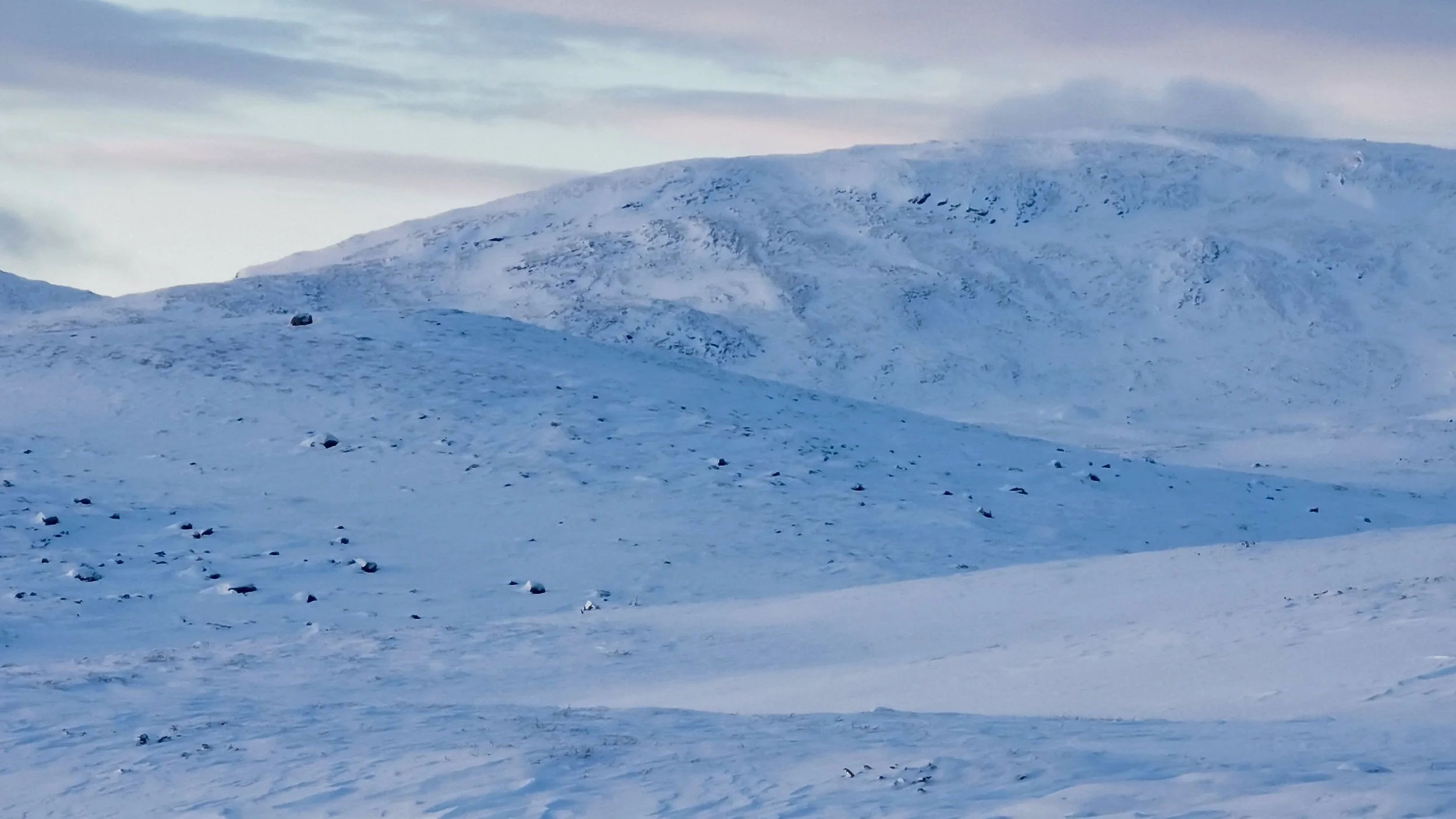 Senaste - 25 av 25.jpeg