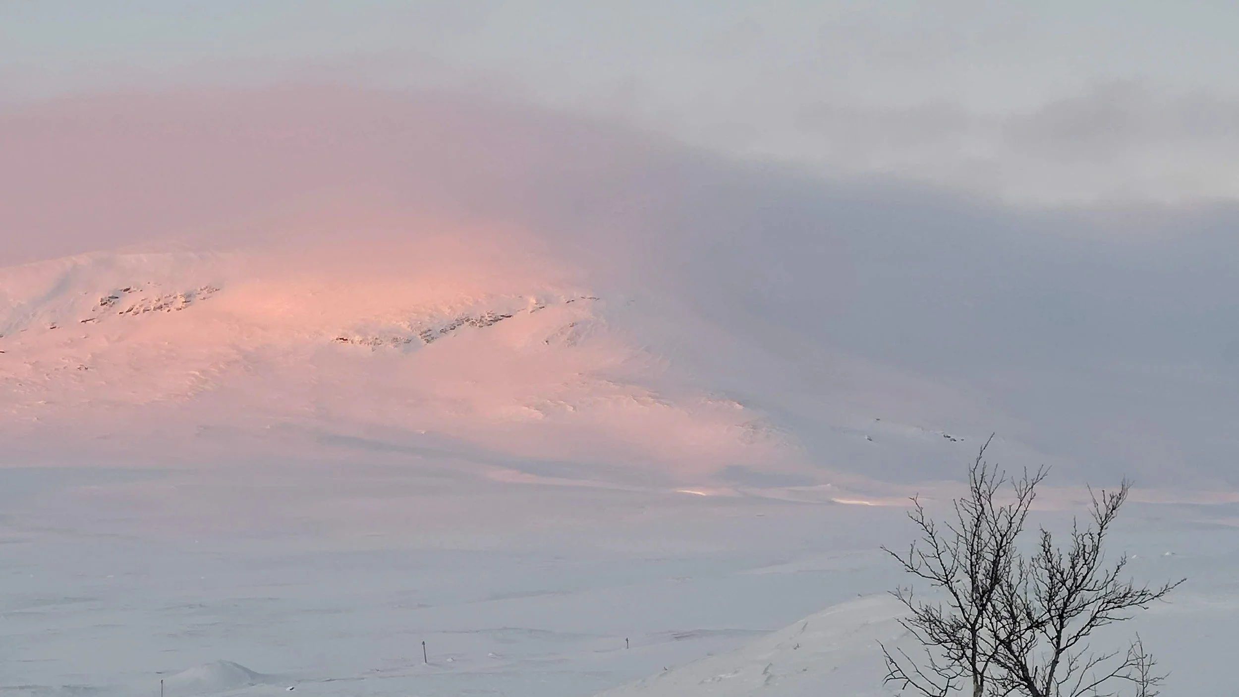 Senaste - 3 av 25.jpeg