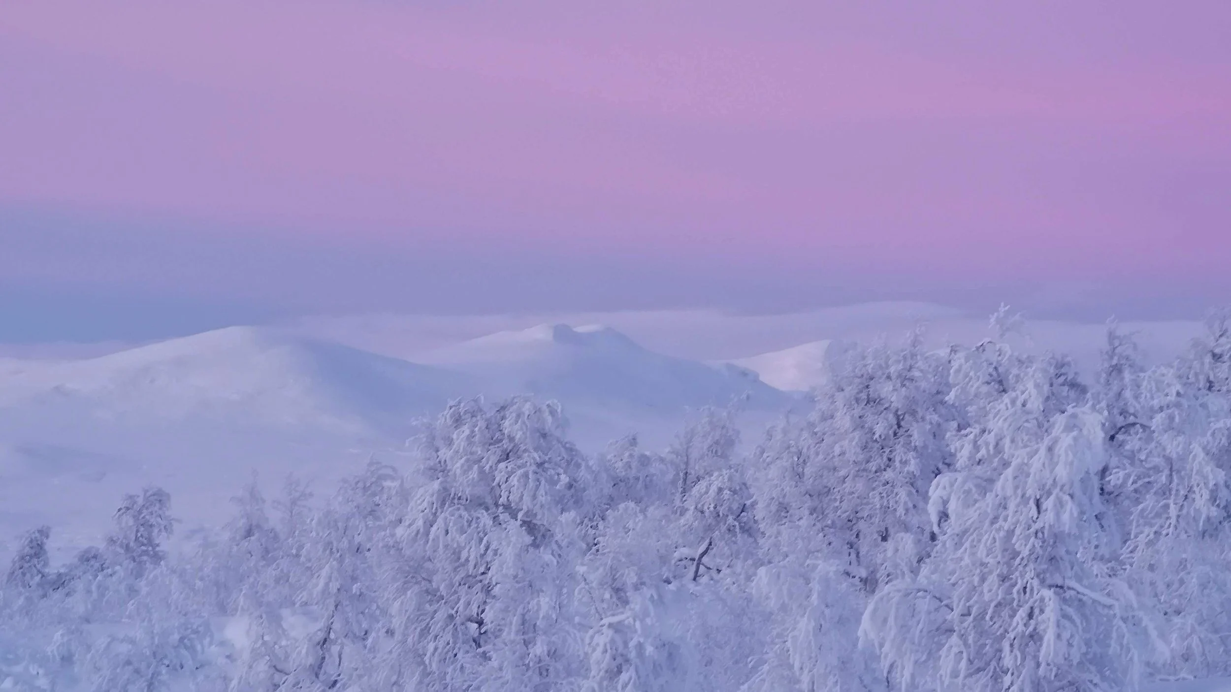 Senaste - 23 av 25.jpeg