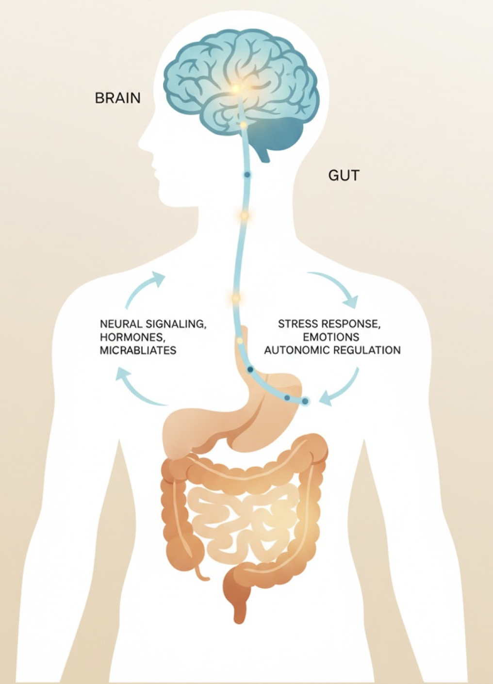 Calm Your Nervous System & Heal Your Gut