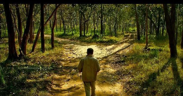 The Two Paths: Managing Symptoms vs. Building Health