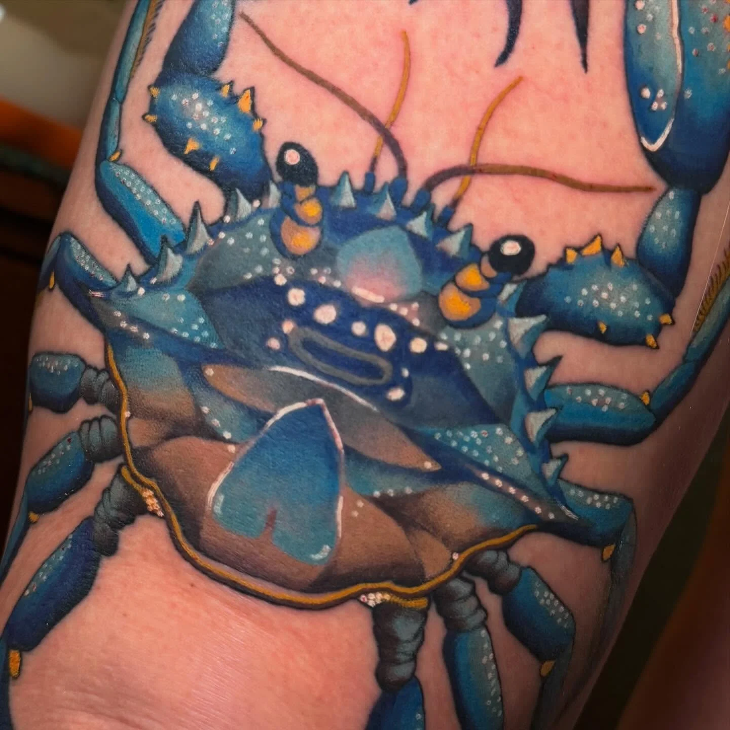 A blue crab for @becsgrifs we finished in two sessions! This lil guy ended up being more celestial than I initially pictured but I&rsquo;m absolutely stoked on how it came out. Thank you Becca for being tuff and getting this 🦋🌀 🦀
.
Made with love 
