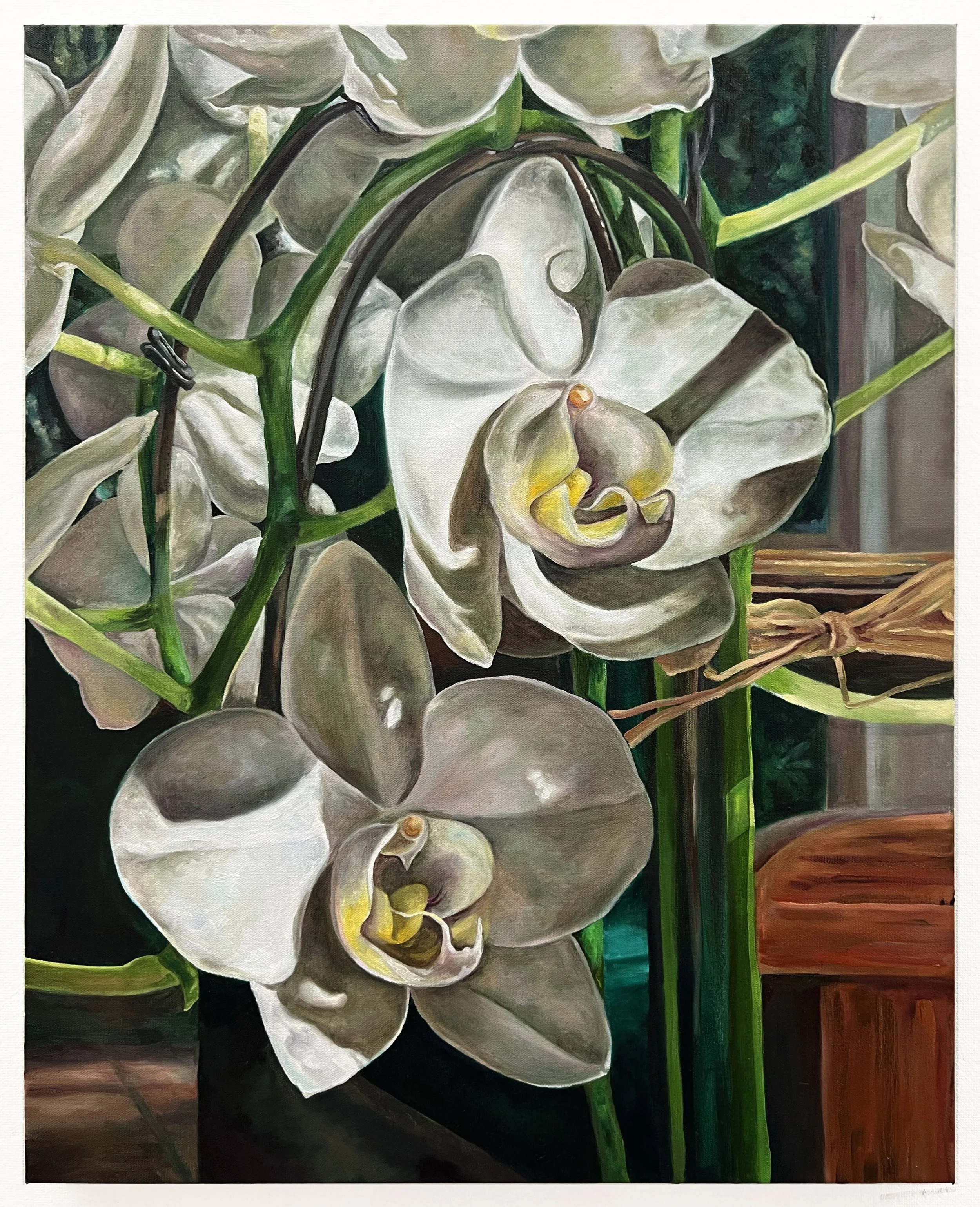 Vampira (For Norma), 2024. Oil on canvas, 24" x 30"