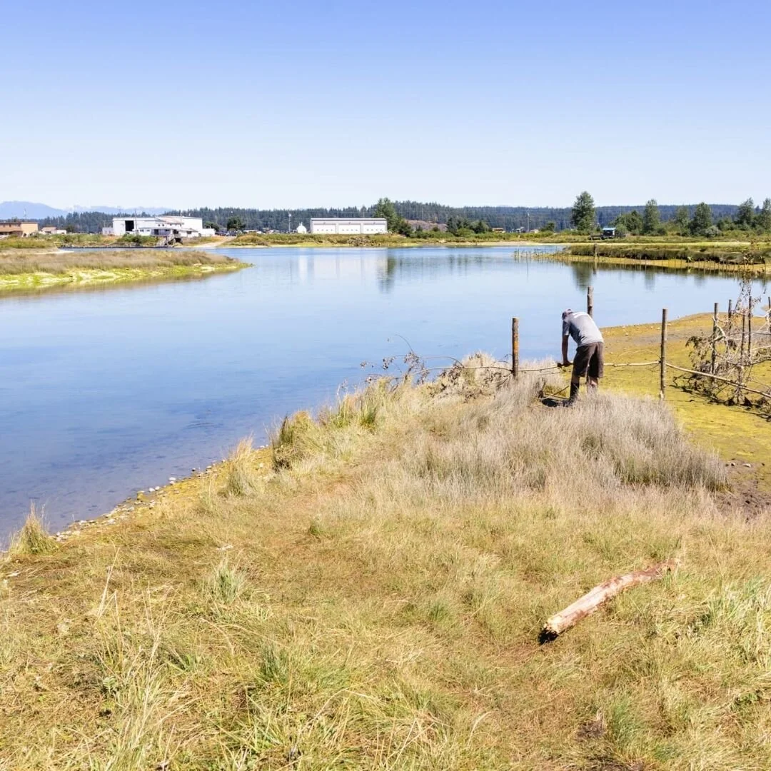 Indigenous Watersheds Initiative
