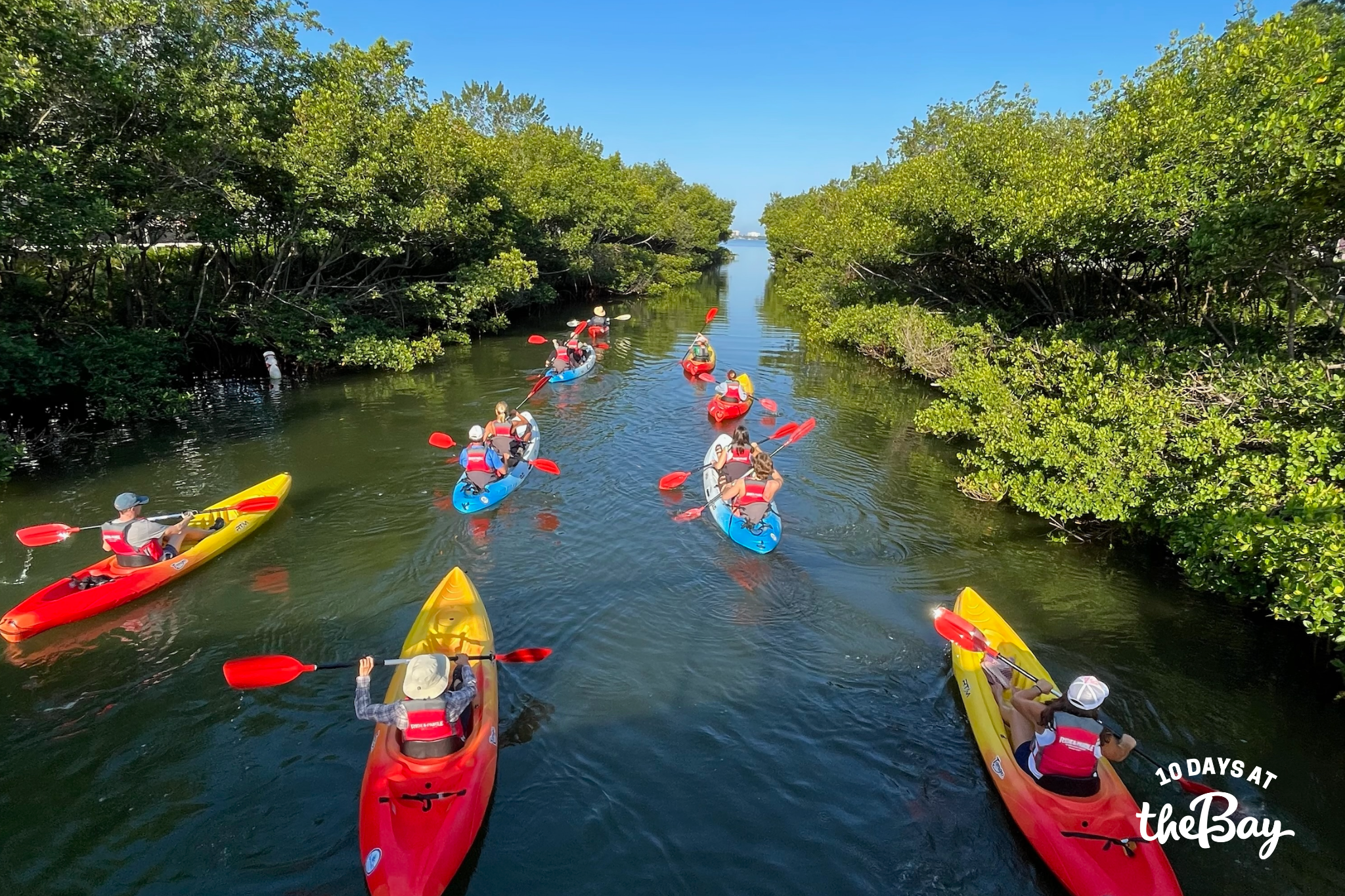 Ride &amp; Paddle: Free Kayak Tours