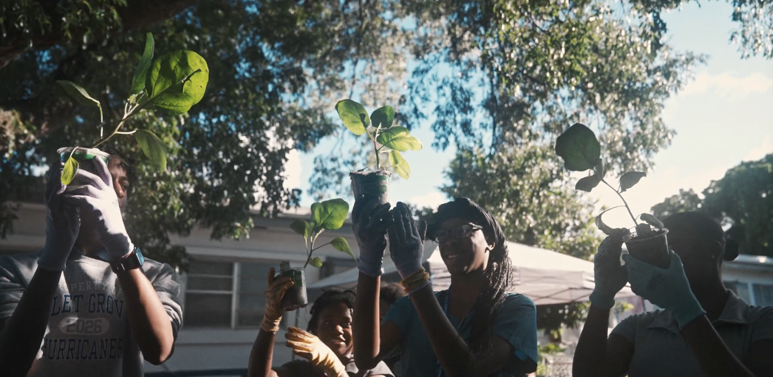 Big Green: Rooted in Riviera