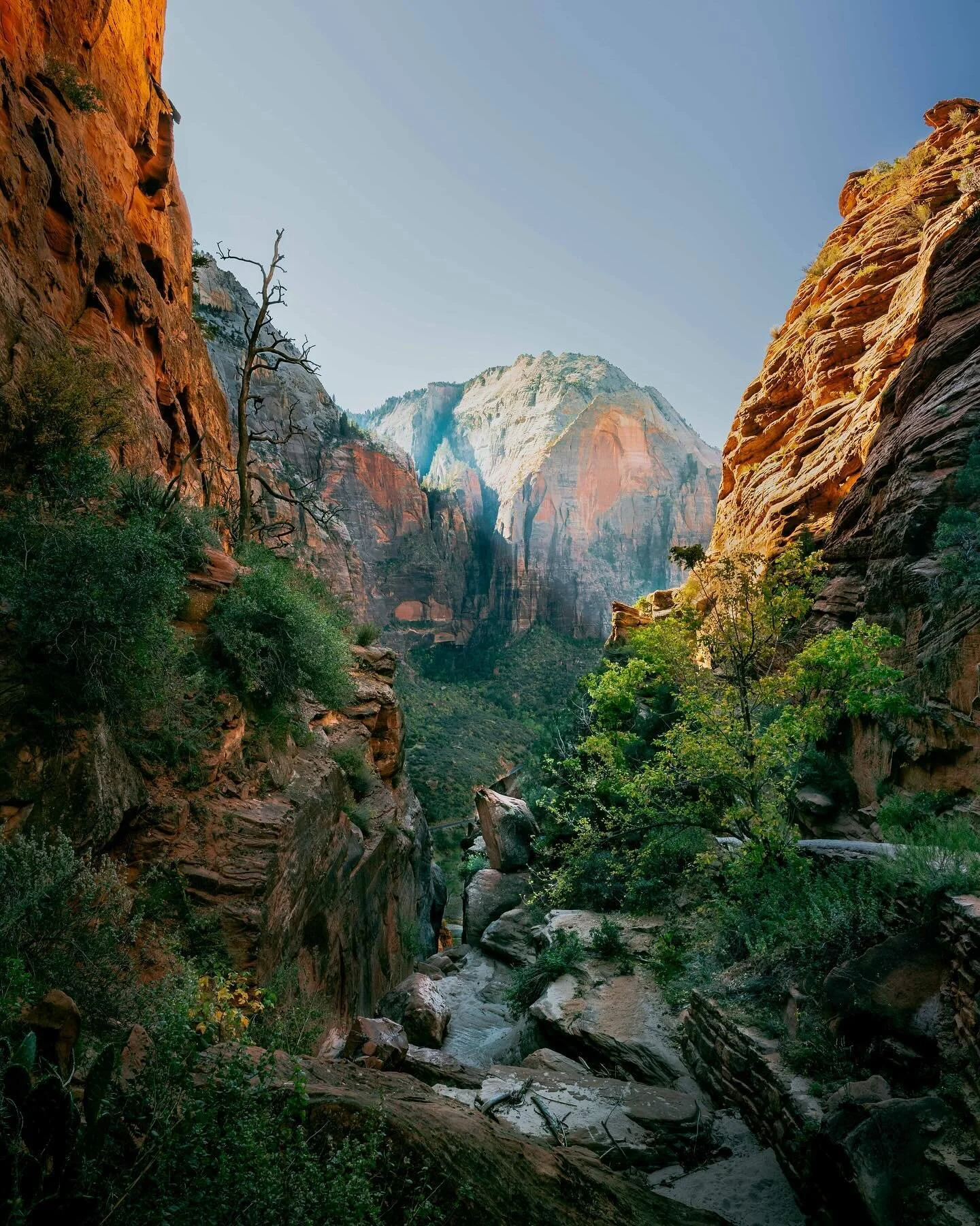 Can you name the spot? The Trail? The National Park?
 
 
#utahunique #utah #utahtravels #optoutdoors #hikingadventure #wandermore #adventuremore #outdoorlifestyle #wonderoutdoors #outdoorvoyager #wildernessnation