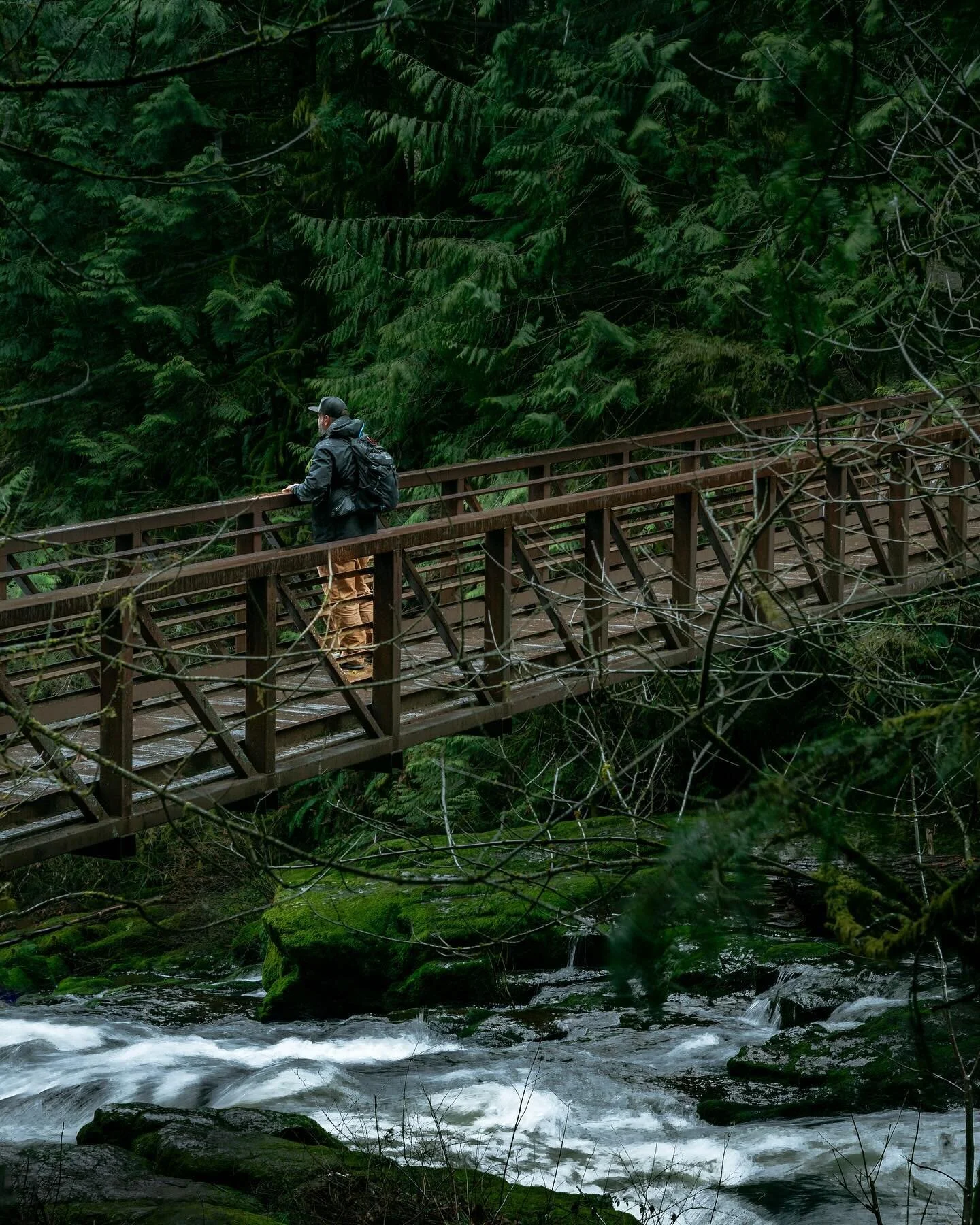 You&rsquo;d never believe this hike was in a city park in Vancouver, WA. 
 
I just love how spring in the PNW can still be a wet and moody adventure. The luscious greens and browns of this hike to a remote waterfall made it all that much more enjoyab