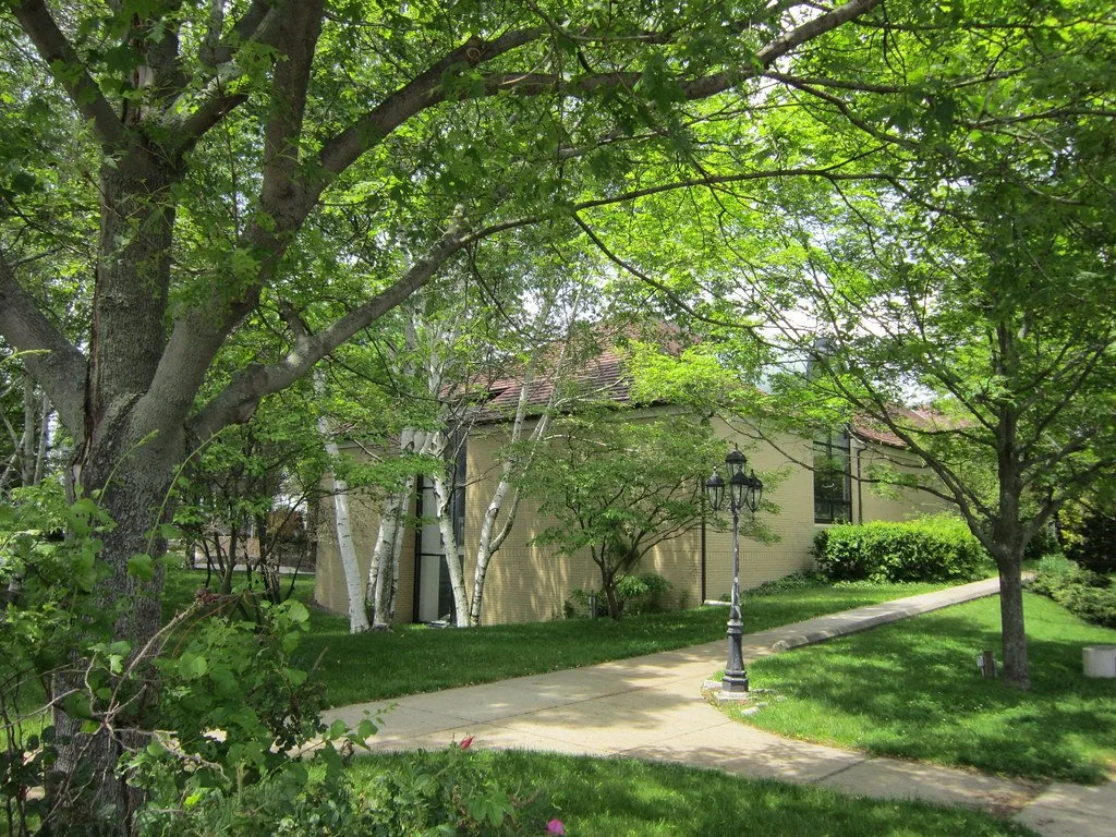 Image of walking through trees toward the Stoneham Public Library