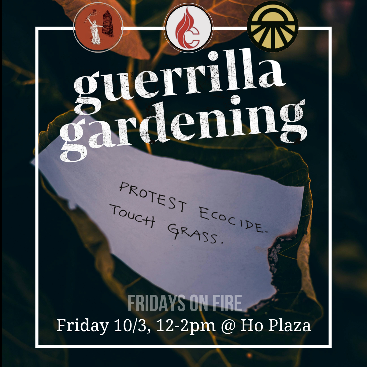 Fridays on Fire Guerrilla Gardening 10:3.png