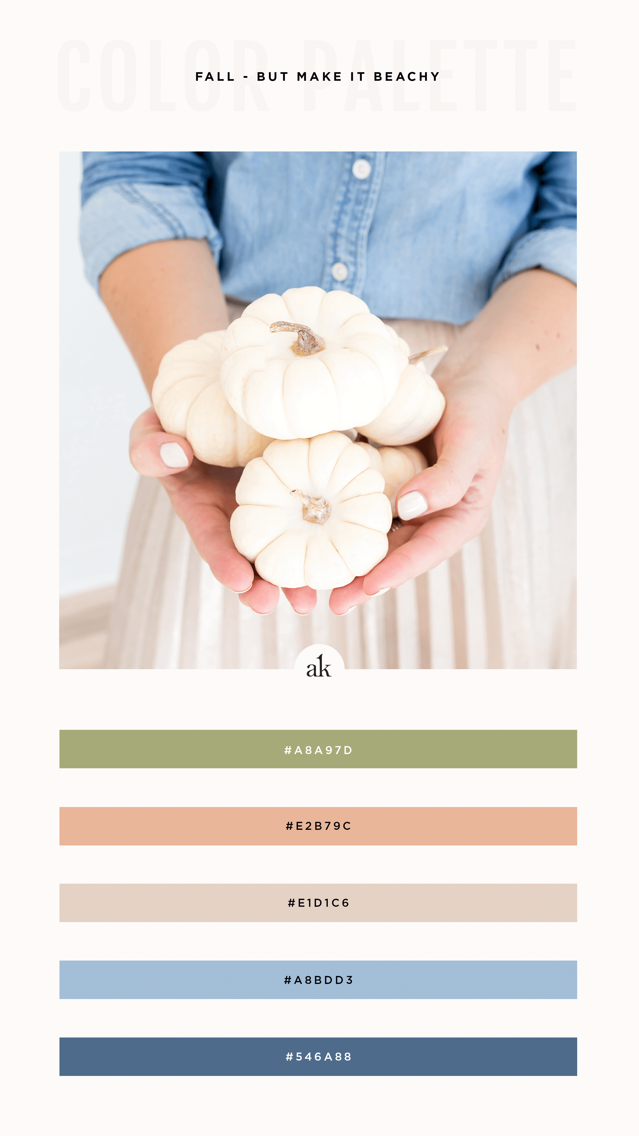 digital color palette inspired by a beachy blue denim shirt and white pumpkin