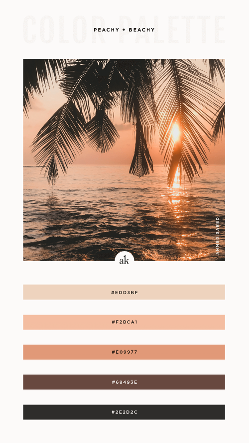 a peach beach-inspired color palette | Akula Kreative