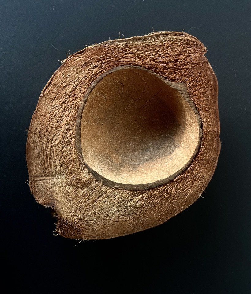 Coconut bowl.