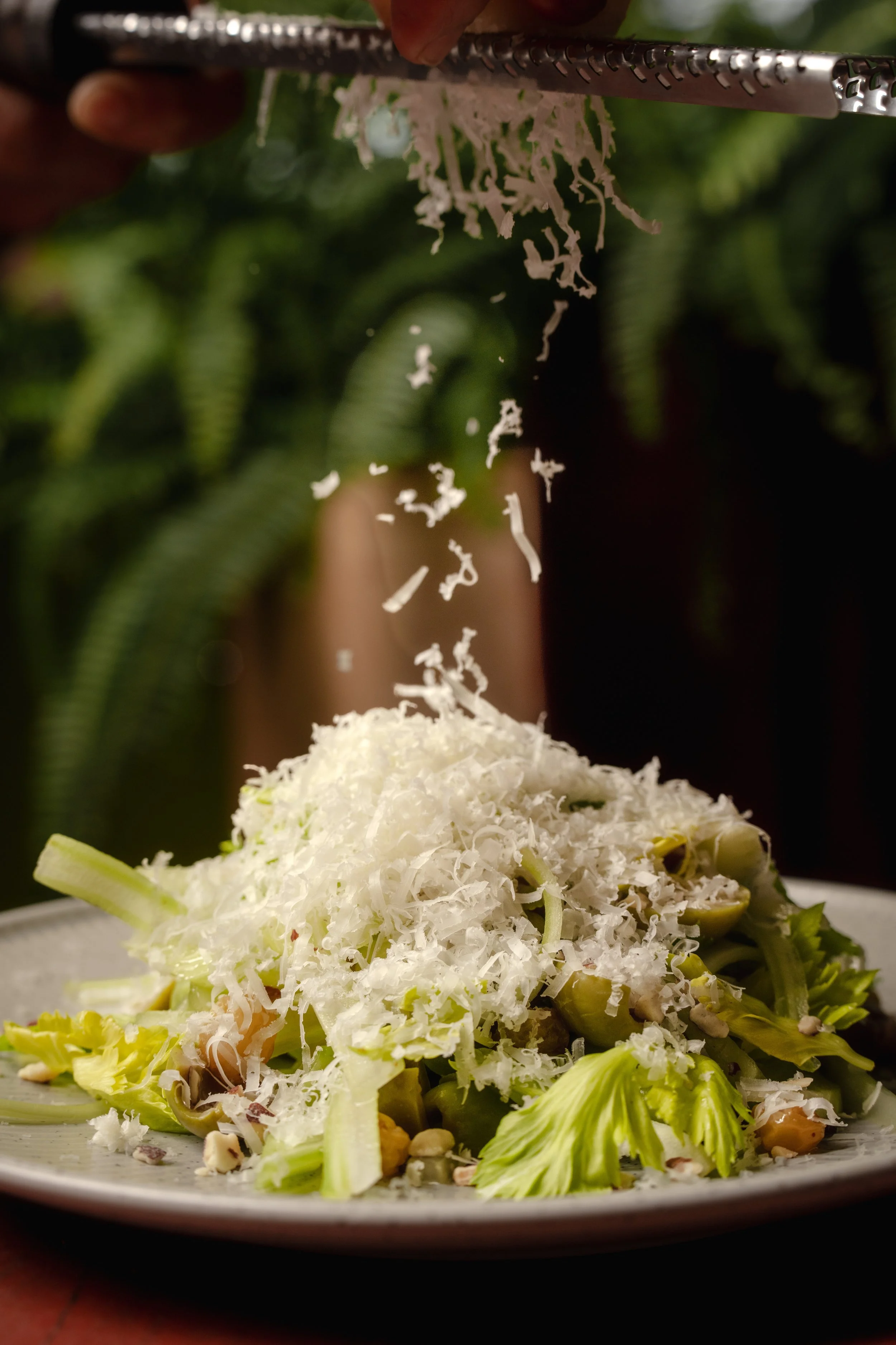 Le Coq - July 2024 - Selects-047.jpeg