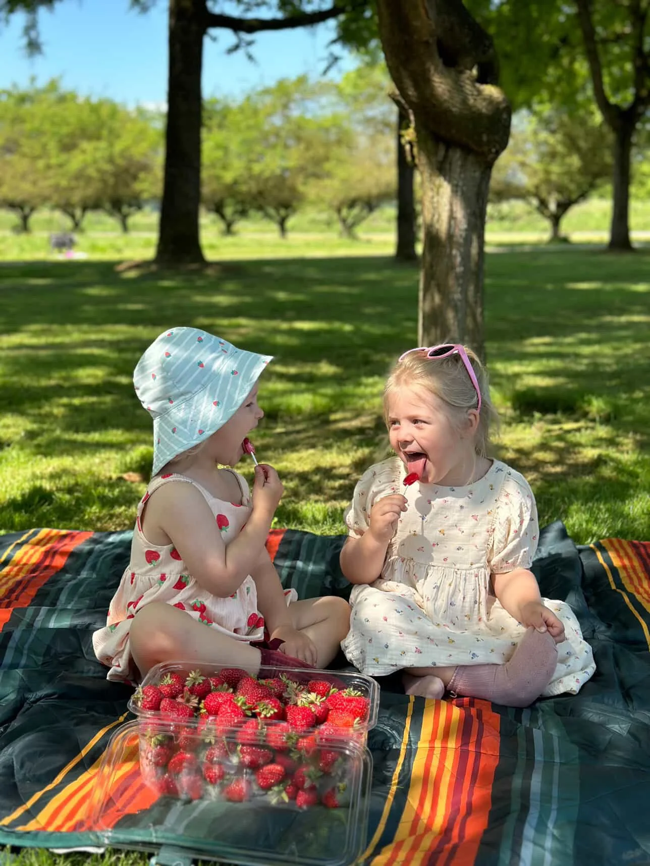 A young girl picking strawberries in a lush green outdoor farm.