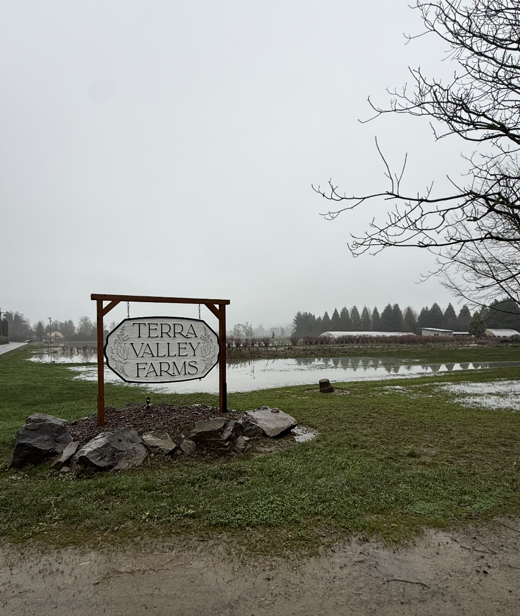 After the Flood: Clean Up &amp; Carry On Presale