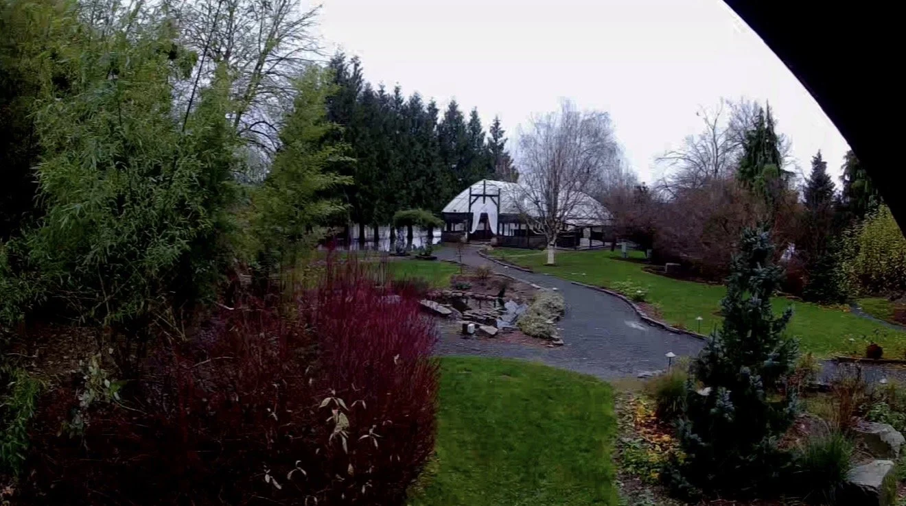 On grey days, and the light returning