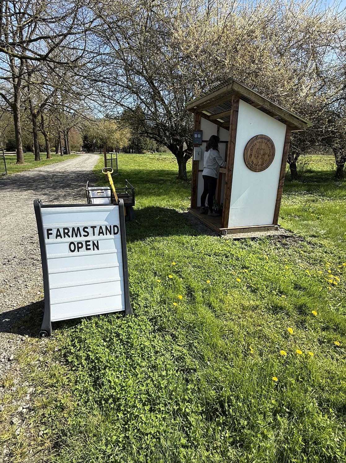 Screenshot 2026-04-07 at 11.56.59.png