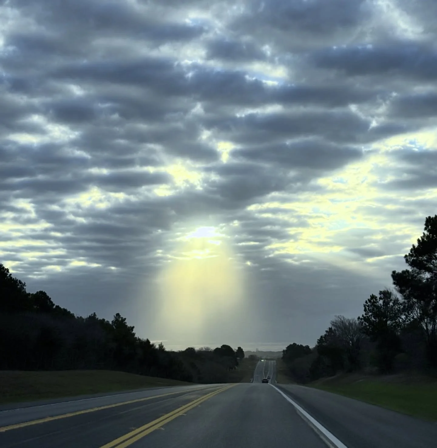 Sunbeams from heaven ☀️