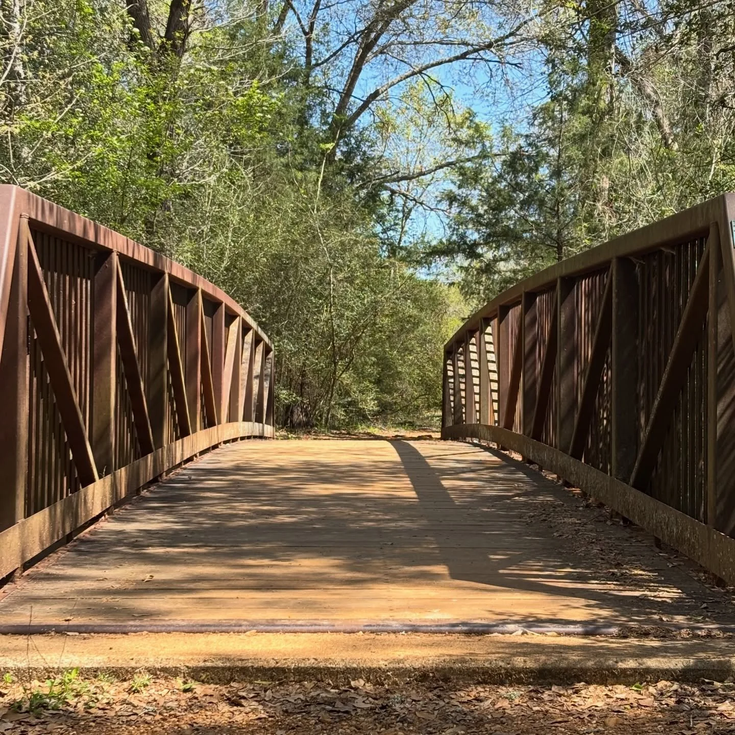 Taking advantage of the sunshine