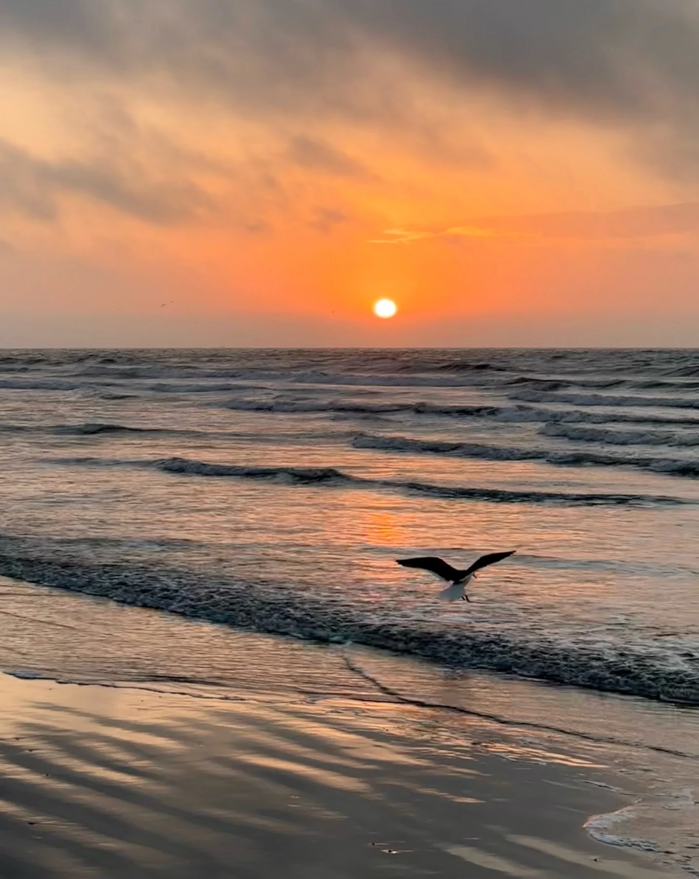 Golden hope rising 
Sea birds laughing at the dawn 
Grateful;heading home. 

&mdash;

Where can I go from your Spirit? Where can I flee from your presence? If I go up to the heavens, you are there; if I make my bed in the depths, you are there. 

If 