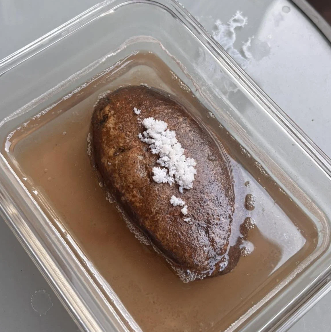 When a Rock-Potato Post Wins the Internet