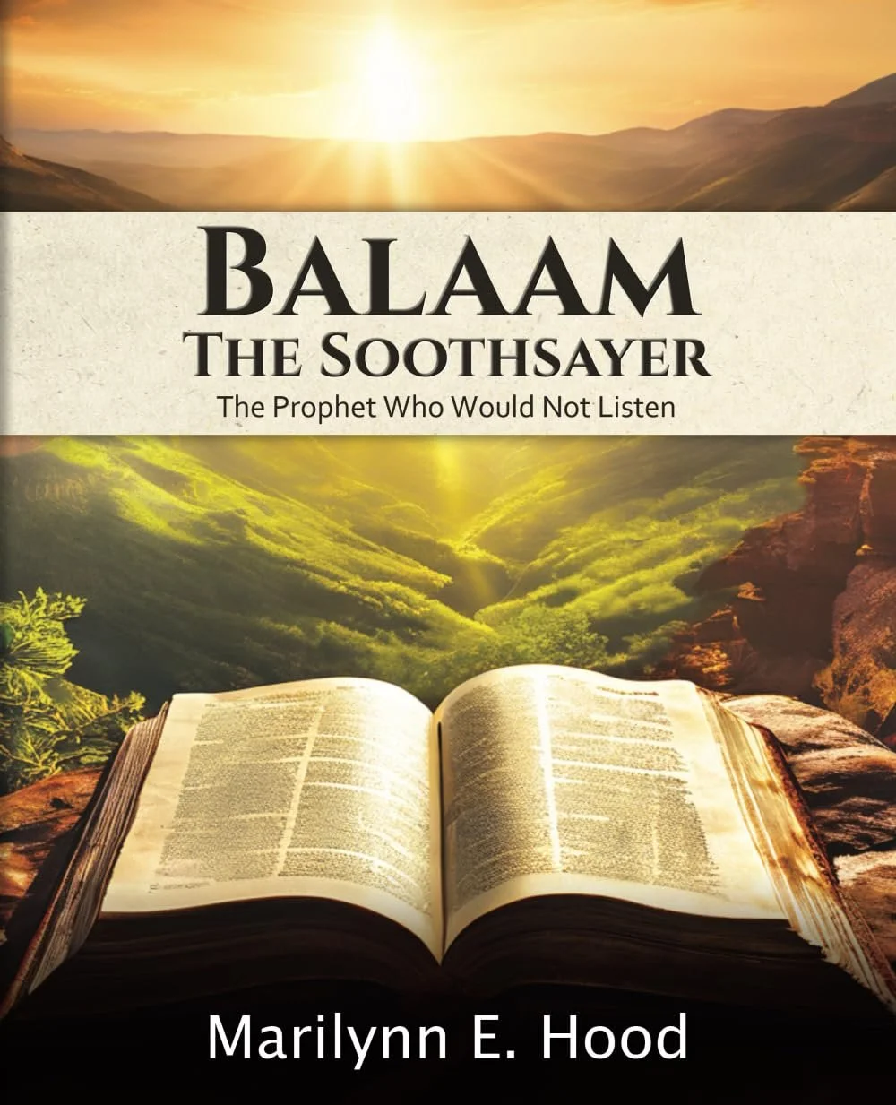 Balaam: The Soothsayer by Marilynn Hood