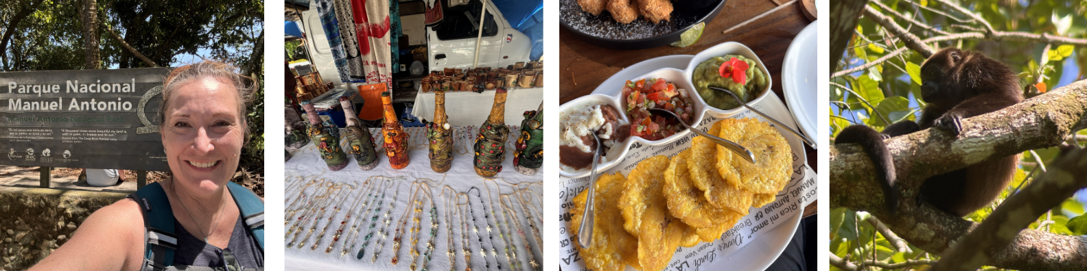 Erin K Casey, Manuel Antonio National Park, Quepos farmers market, pantacones (fried plantains), howler monkey