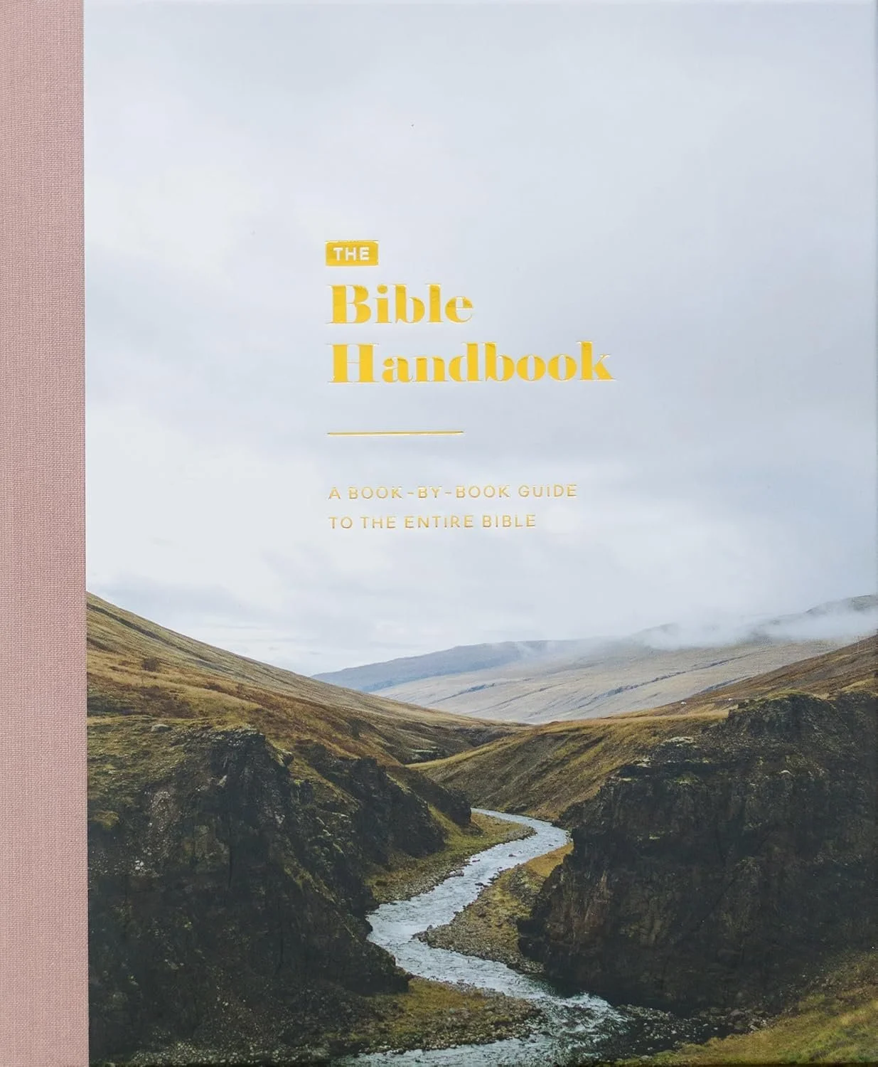 The Bible Handbook by The Daily Grace Co.