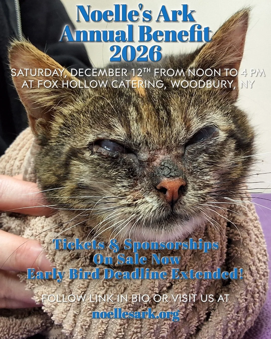 This is Flame, a cat we posted about on September 17th. Please join us at our Annual Benefit on December 12th to support our mission to help animals like Flame. For details and tickets, follow the link in our bio or visit us at nollesark.org

Origina