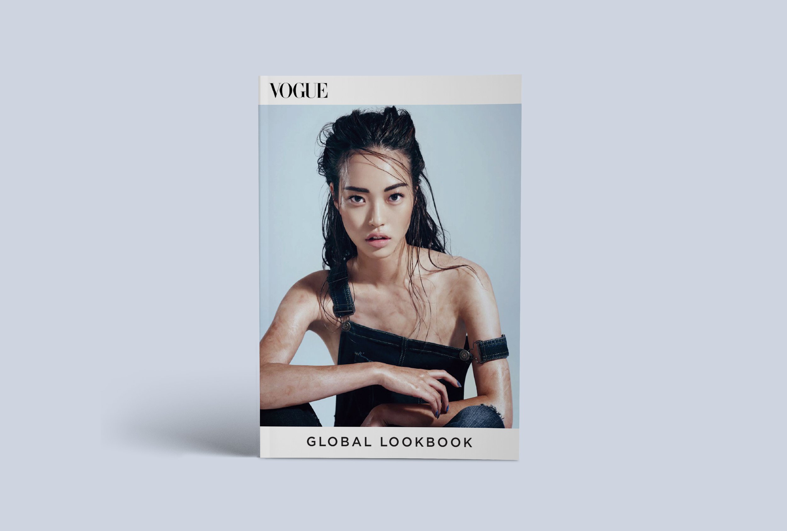 v-lookbook cover.jpg