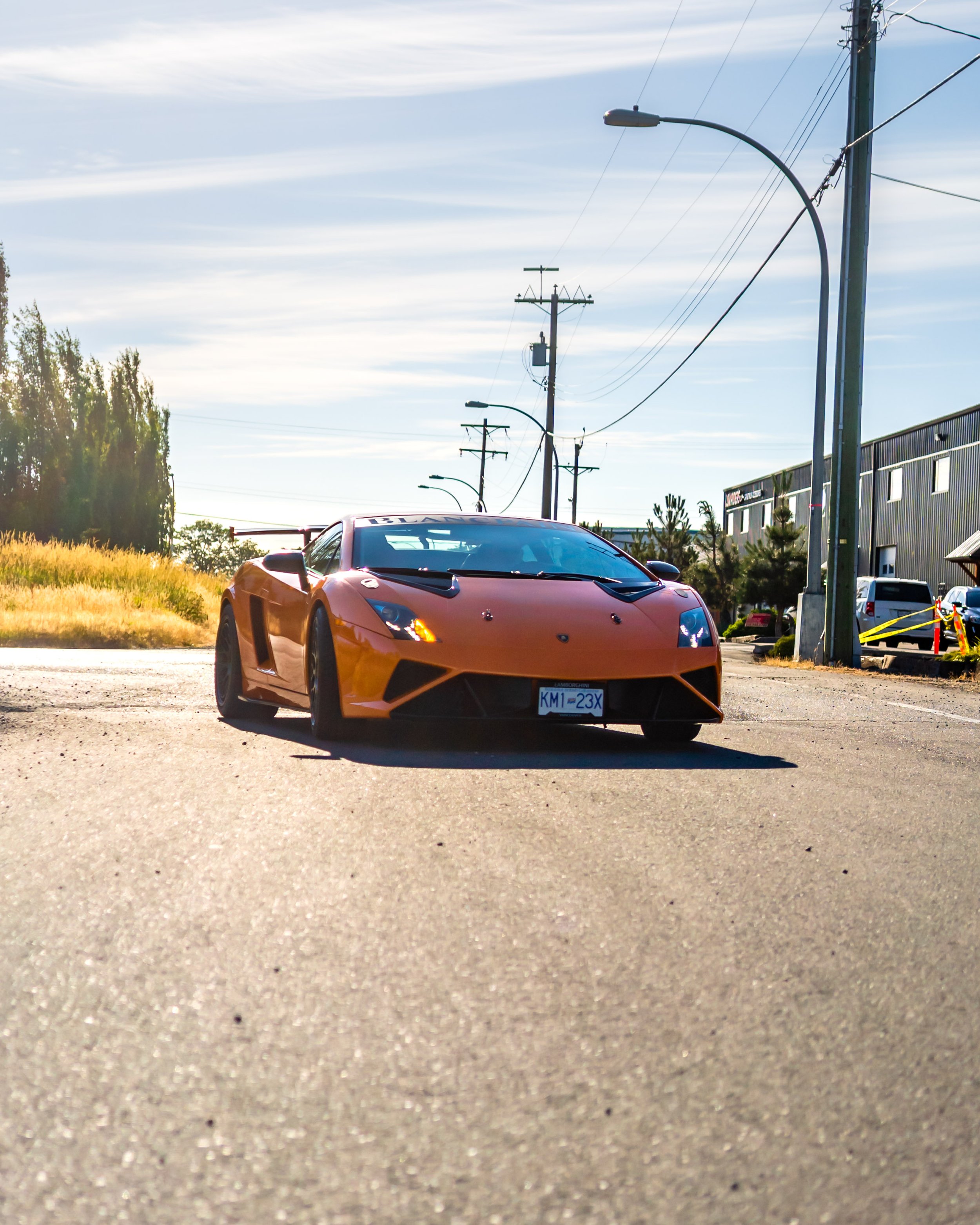 gallardo_1-2.jpg