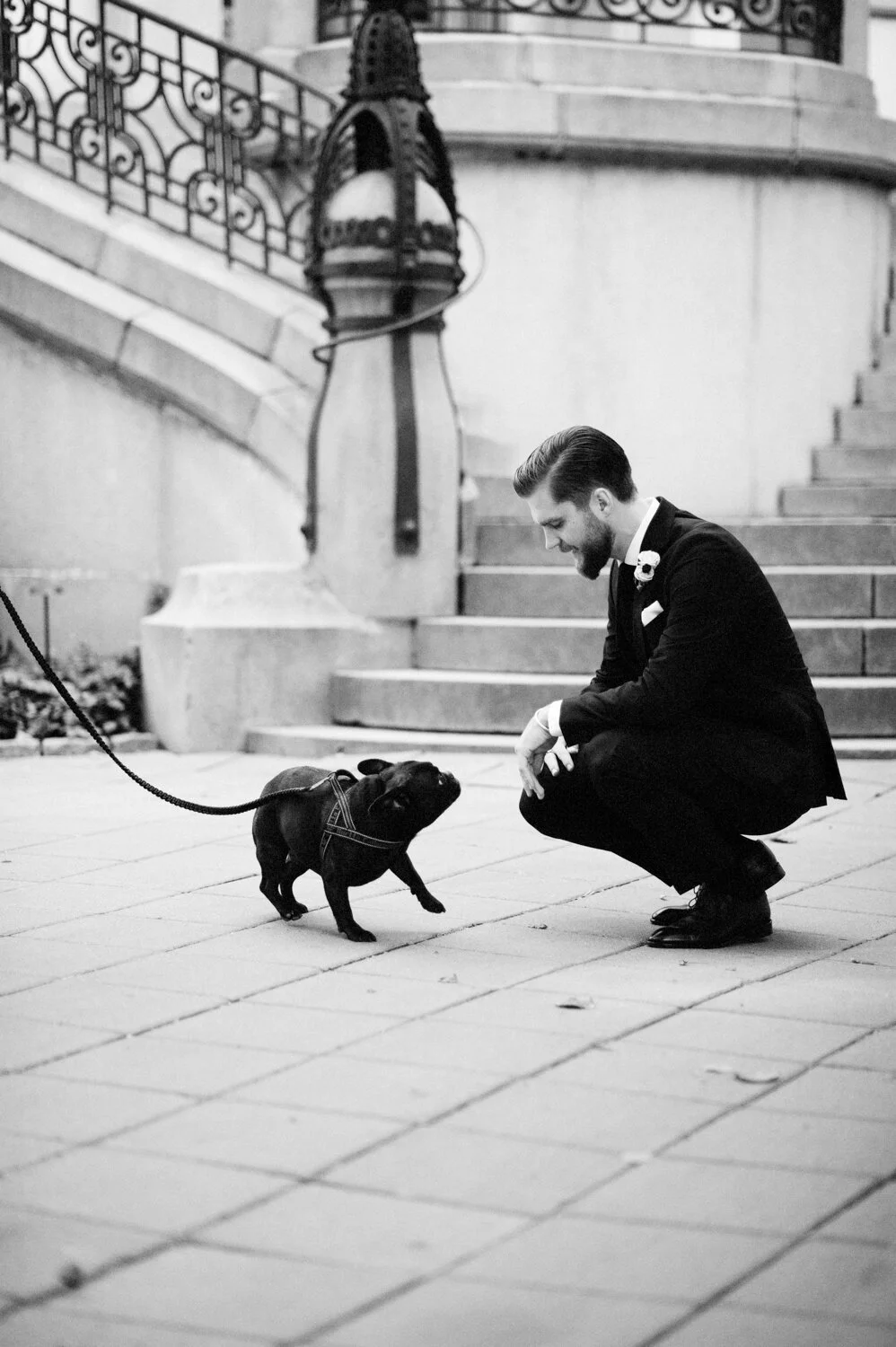 Brudgum och hans franska bulldog.