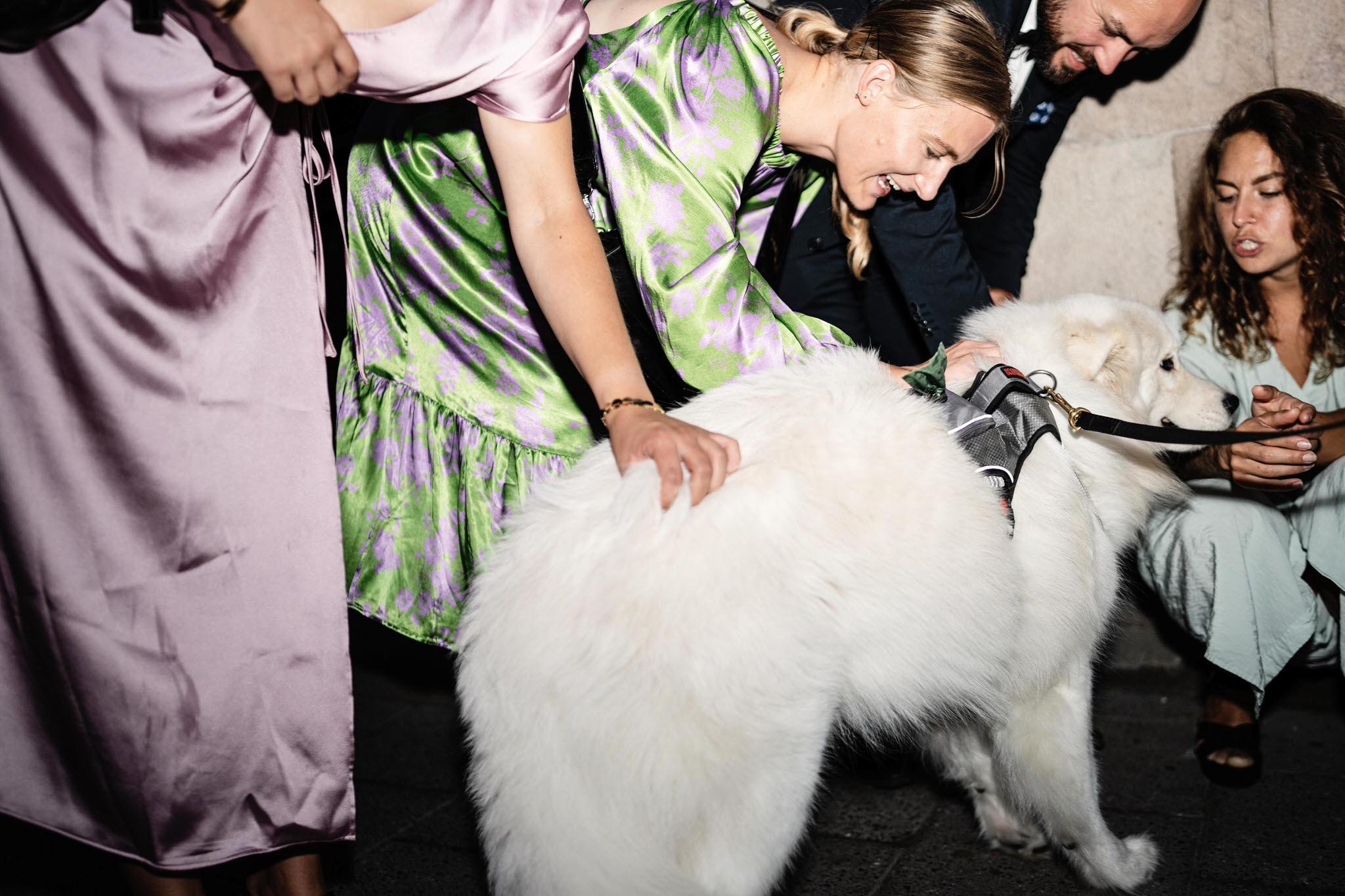 Finklädda människor gosar med en lurvig hund.