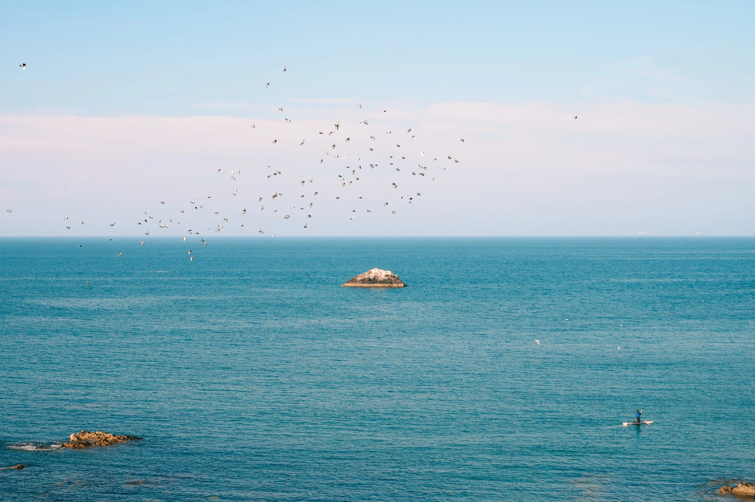 _AGP9315-Mejorado-NR.jpg