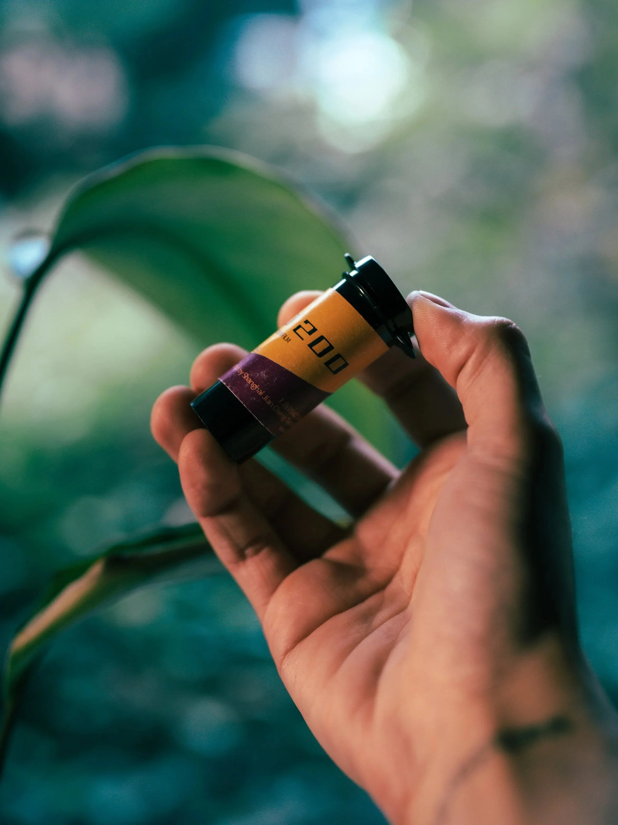 Film simulation for Nikon