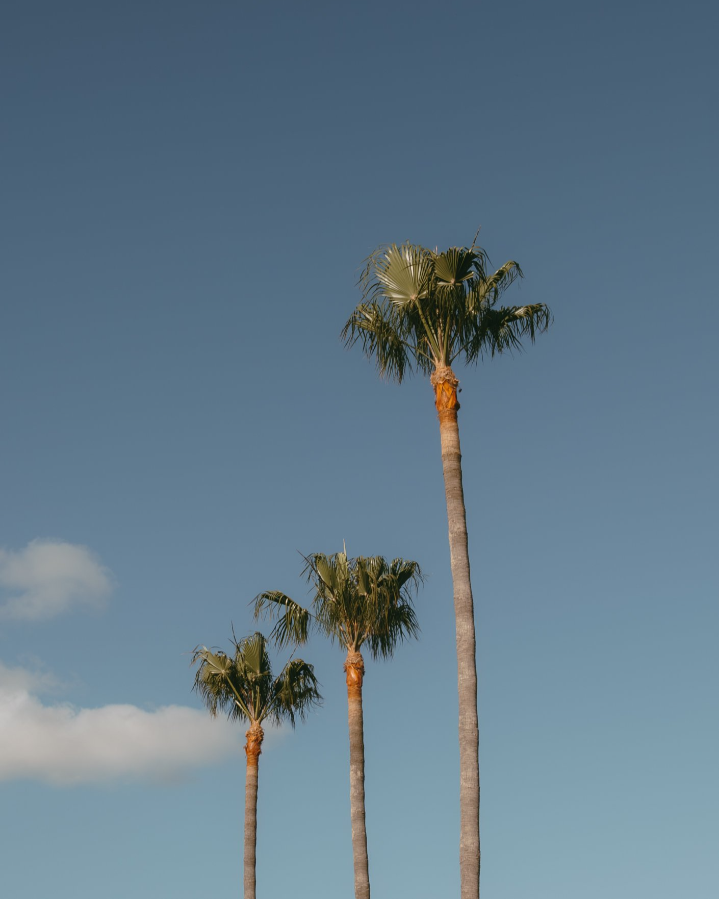 ANGEL GONZALEZ - PHOTOGRAPHER IN EDINBURGH, SCOTLAND, ANGELDISCOVEREXPLORE