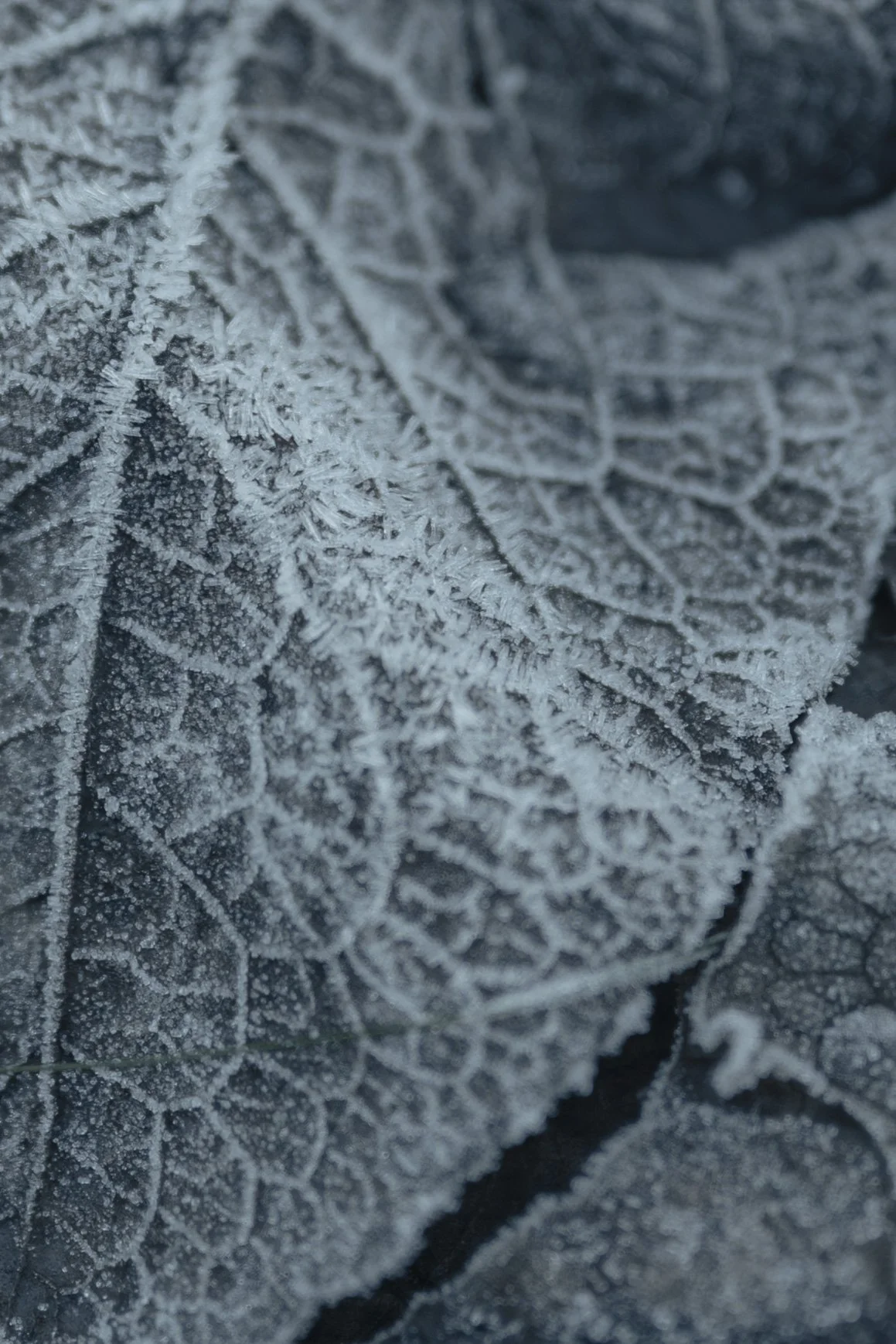 Photographer In Edinburgh Commercial, hotel, Storytelling, Lifestyle, Landscape, travel