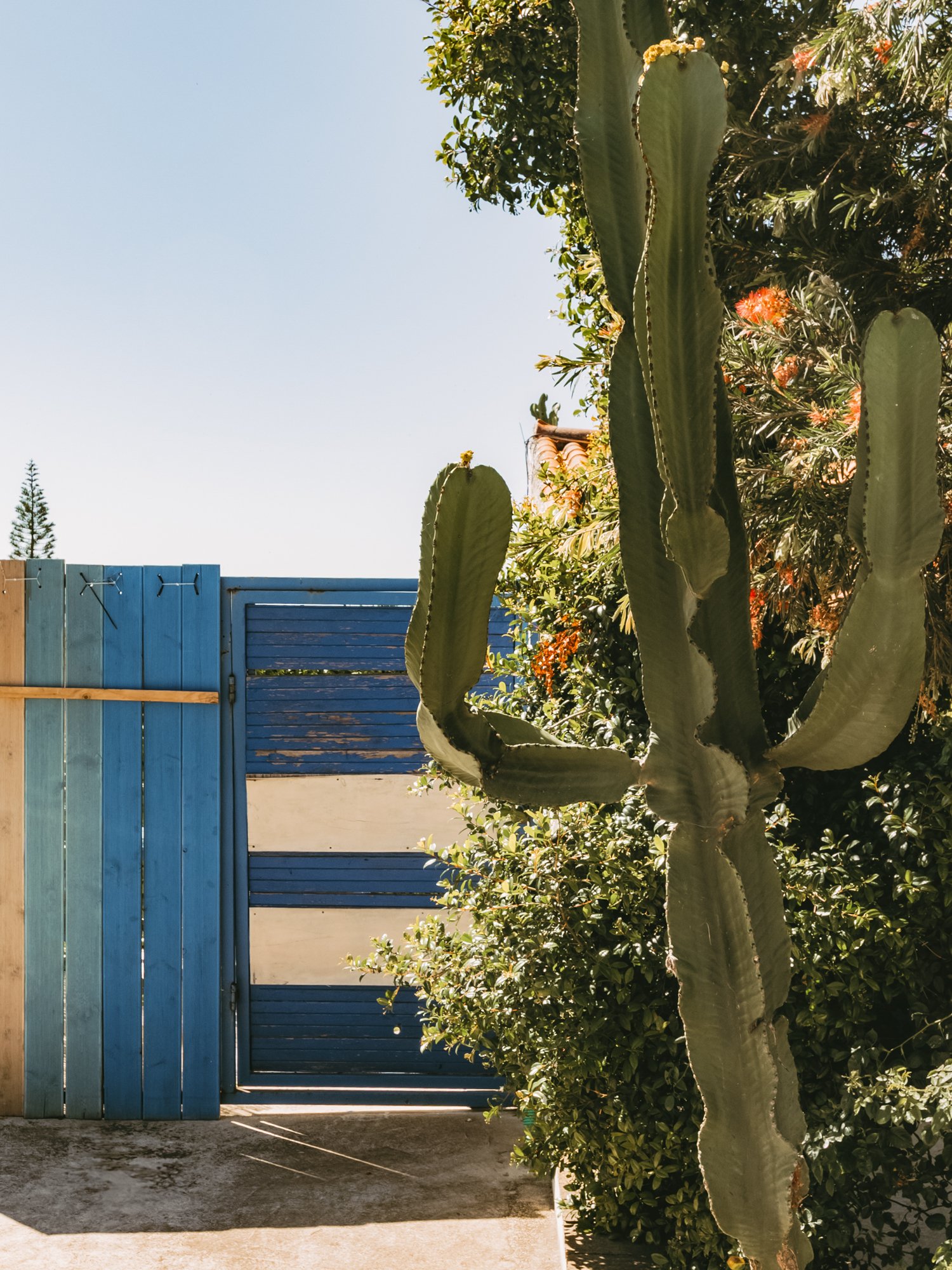 Airbnb Photography in Edinburgh | Professional Photos of Unique Rentals angeldiscoverexplore