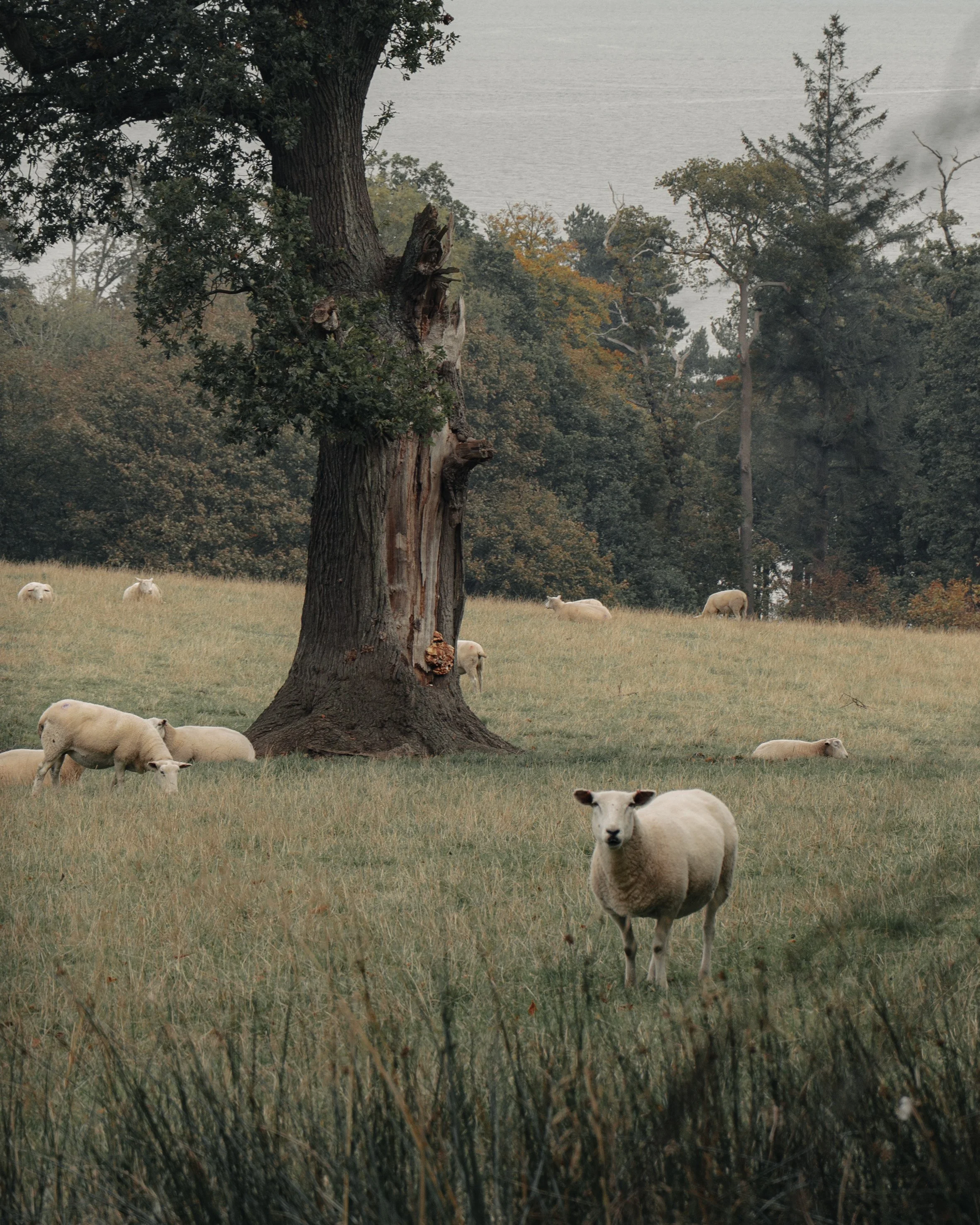 Photographer In Scotland Commercial, hotel, Storytelling, Lifestyle, Landscape