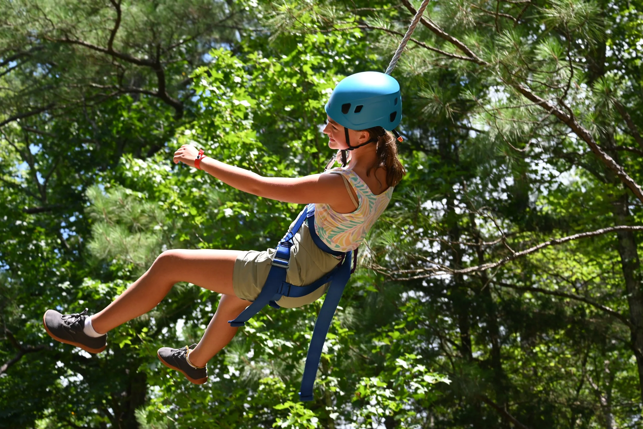 Flying Squirrel