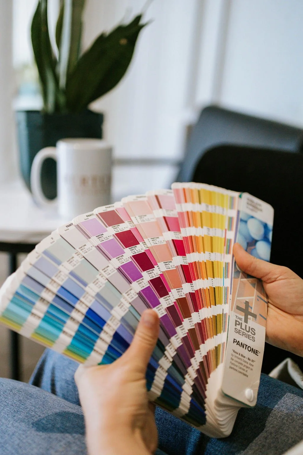 Burtch holding a color swatch book with various shades of blue, purple, pink, red, orange, and yellow, in an indoor setting with a plant and a coffee mug in the background.