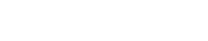 Text reading 'The Scout Guide' in a simple serif font.
