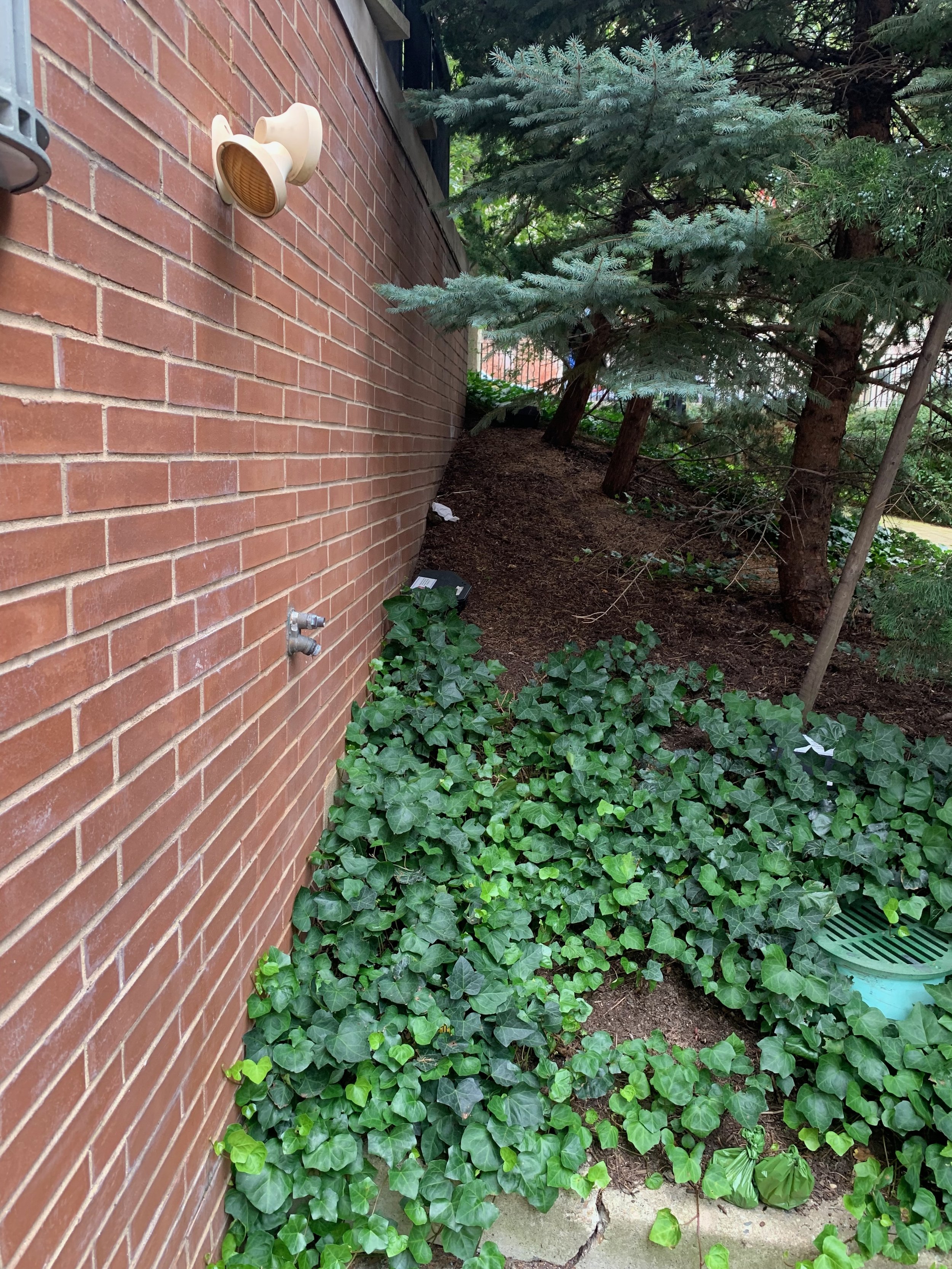 Human excrement and toilet paper, private property off Harrison Avenue