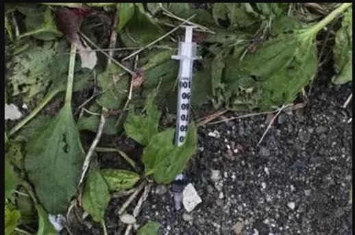 Needle in the weeds, off Mass Ave