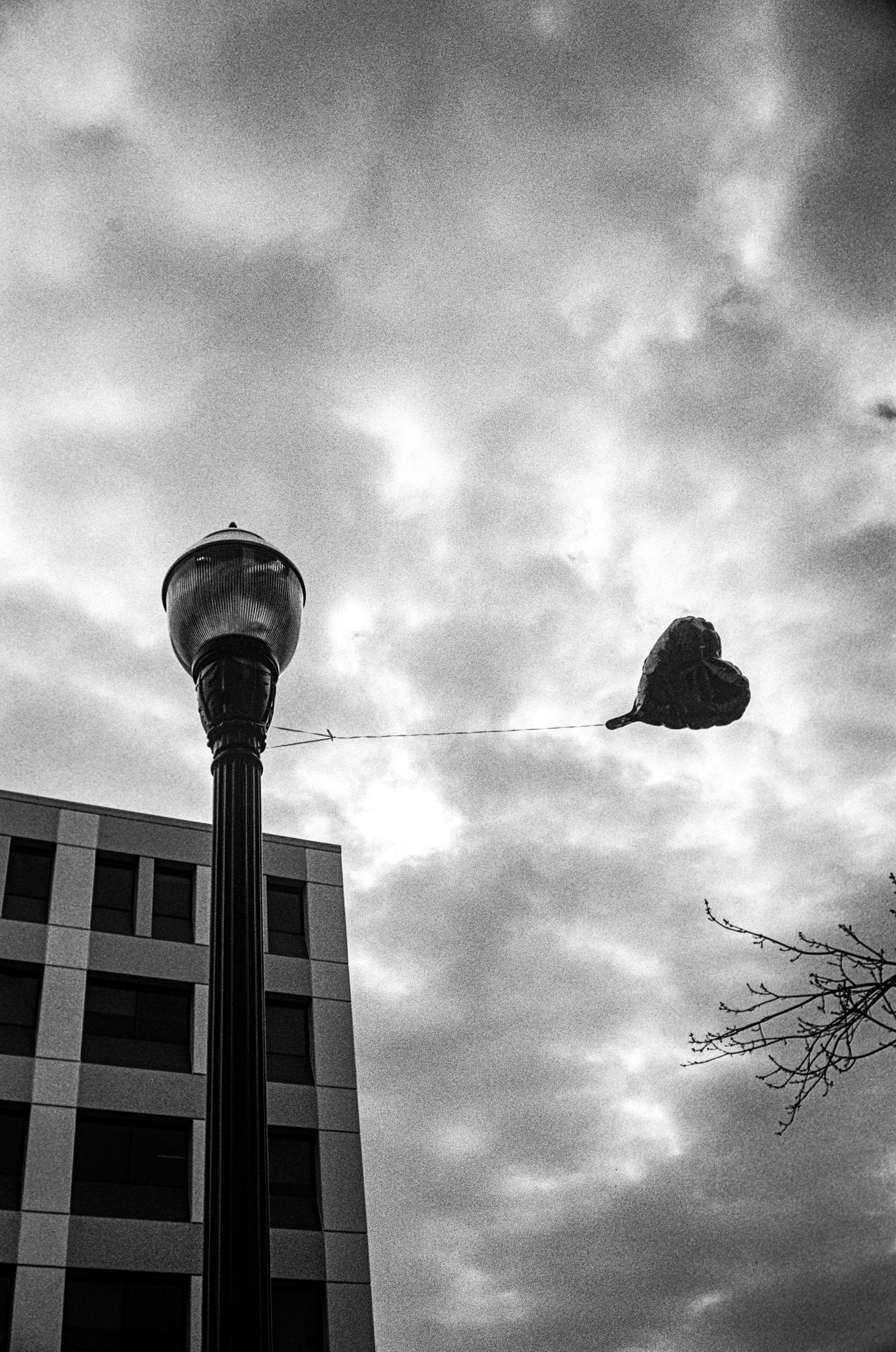 Balloon | Bessa R | HP5 | 2025