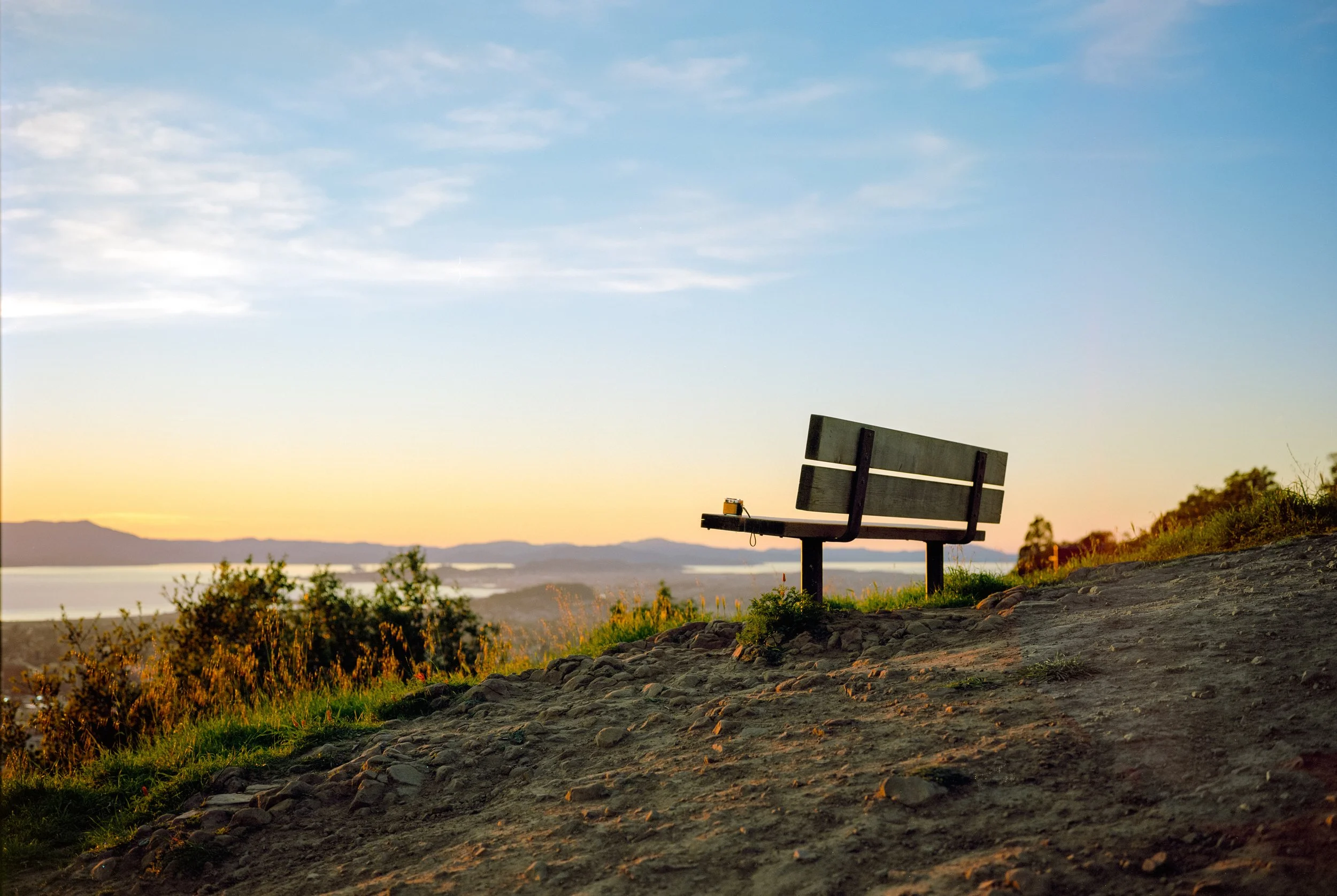 Bench | GW690 | Ektar | 2026