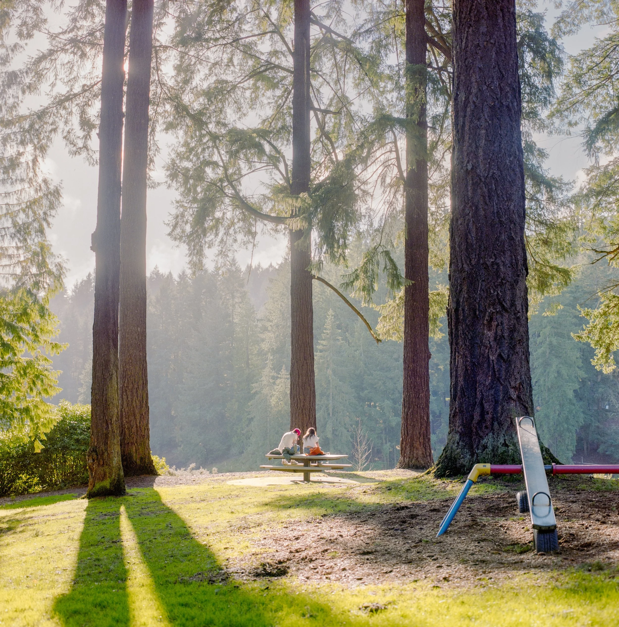 Washington Park | Bronica SQ | Portra 160 | 2026