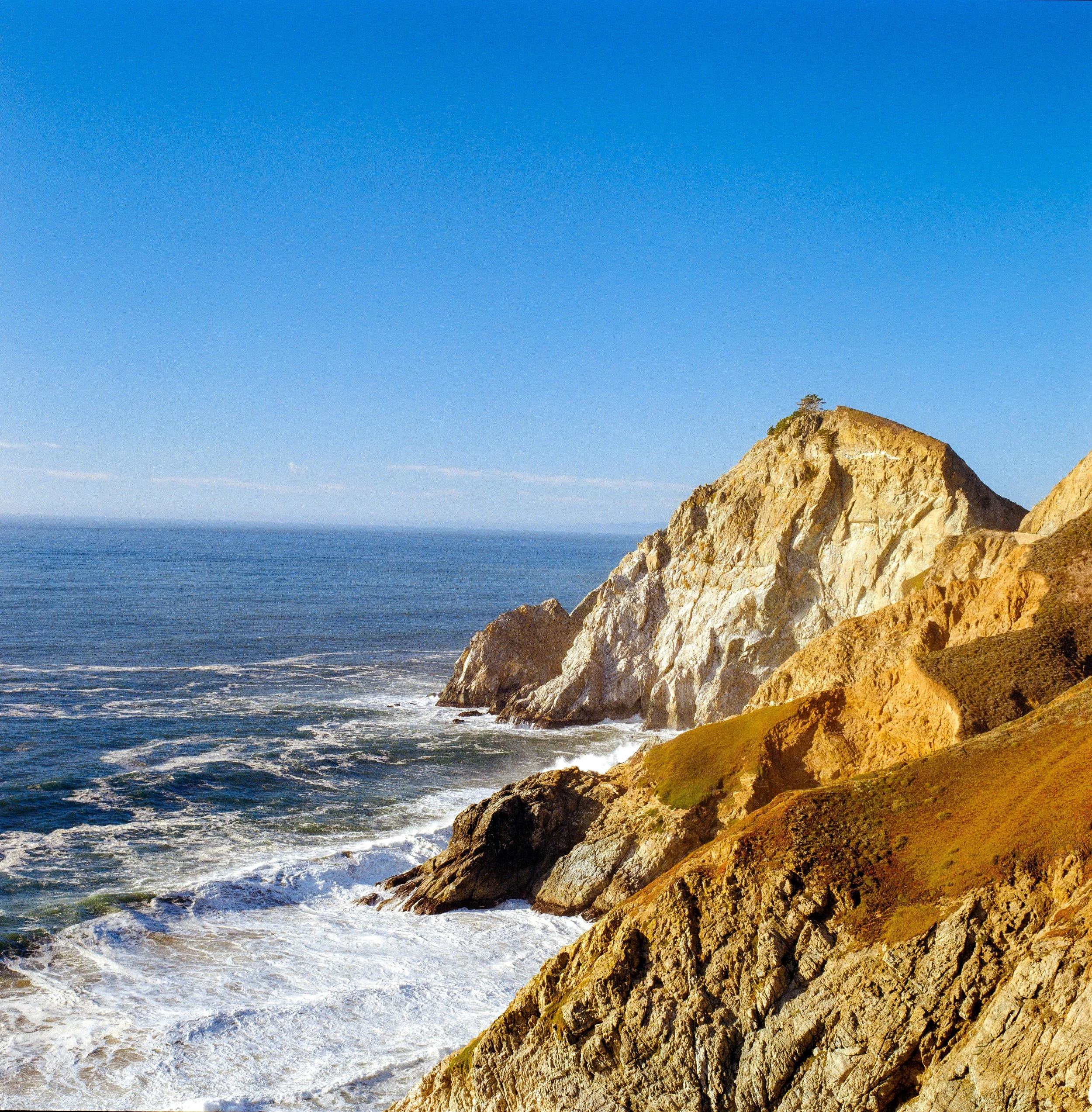 Pacifica | Bronica SQ | Gold | 2026